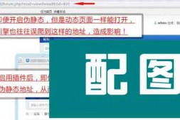 cj2947 Discuz强制伪静态地址seoV5.3插件