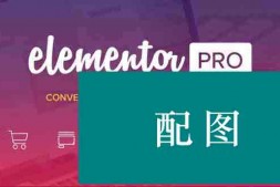 ym9002【WordPress插件】Elementor Pro 可视化拖拽编辑器专业版 v2.10.0