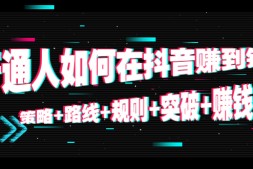 (wz4381)普通人如何在抖音赚到钱:策略+路线+规则+突破+赚钱(10节课)