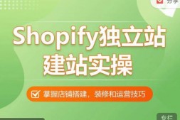 ZX5478 Shopify独立站/建站实战课,从0-1手把手教你搭建一个高质量的独立站