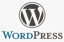 ZX0040 选择网站域名有哪些技巧?