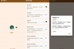 ZX0032 李跳跳5000条跳过广告规则