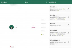 GJ0089 李跳跳 v2.2正式版+规则 ,自动跳过广告神器