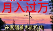 wz5163 靠挂机,日入1000+,躺着也能吃肉,电脑手机都可挂