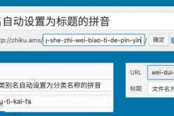 CJ0062 WordPress 文章别名、分类别名插件 Wenprise Pinyin Slug