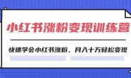 WZ5165 2024小红书涨粉变现训练营,快速学会小红书涨粉,月入十万轻松变现(40节)
