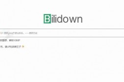 GJ0095 bilibiliDown-极简纯净B站视频解析提取工具