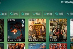 GJ0119 可视TV Max v2.0.0 功能强大的电视盒子软件