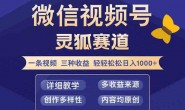 WZ5192 视频号【灵狐赛道2.0】一条视频三种收益 100%原创 小白三天收益破百