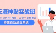 WZ5185 天涯神贴实战班:抖音+公众号+网盘,三合一变现模式,搭建自动成交系统