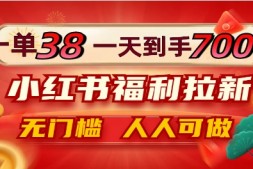 WZ5191 一单38,一天到手7000+,小红书福利拉新,0门槛人人可做