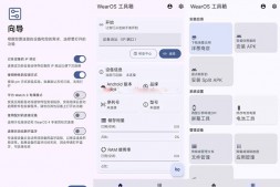 GJ0176【分享】WearOS工具箱 手表必备APP
