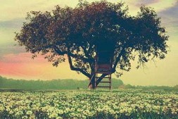 ZX0049 中软高科身份证阅读安全模组在网吧实名制的应用方案分享