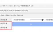 GJ303 PDF&WaterMark PDF加水印